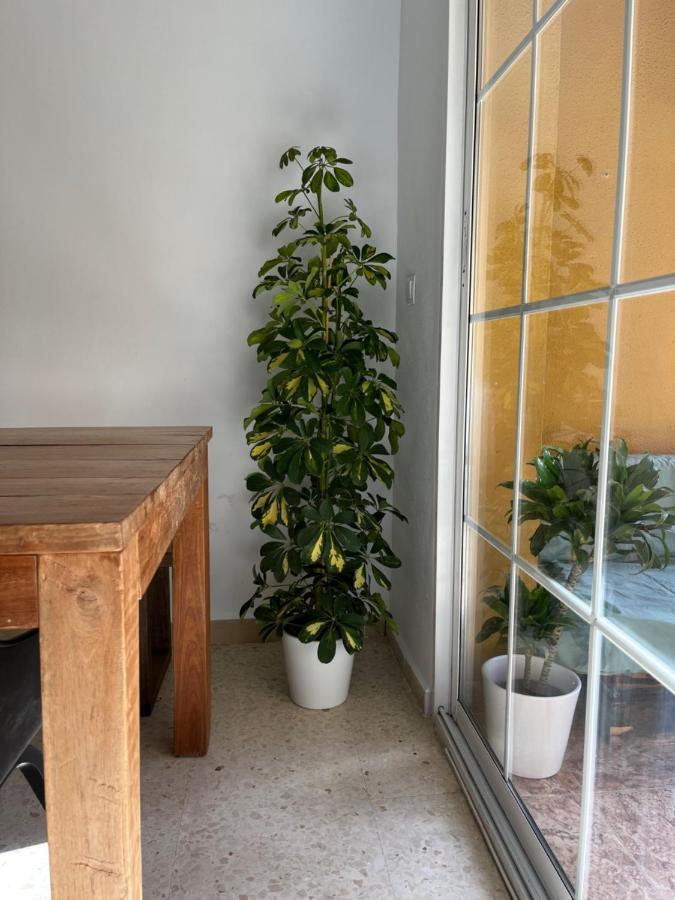 Apartamento La Biznaga Малага Экстерьер фото
