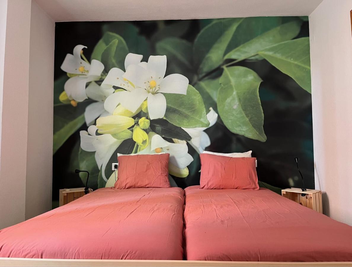 Apartamento La Biznaga Малага Экстерьер фото